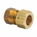 Thrifco Plumbing #66-C 1/2 Inch x 3/8 Inch Lead-Free Brass Compression FIP Adapt 4401083